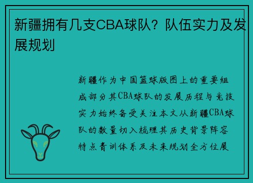 新疆拥有几支CBA球队？队伍实力及发展规划